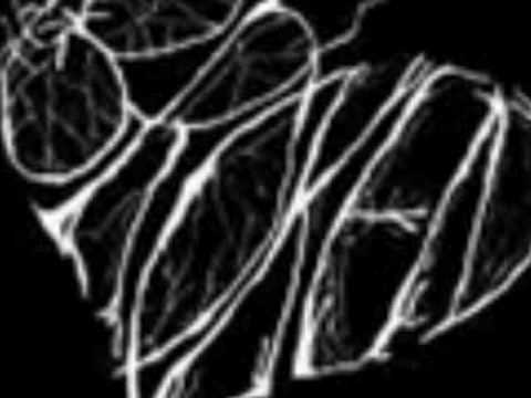 Samjhana - Pariwartan